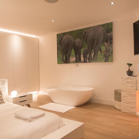 Thelab Franschhoek Zewnętrze zdjęcie